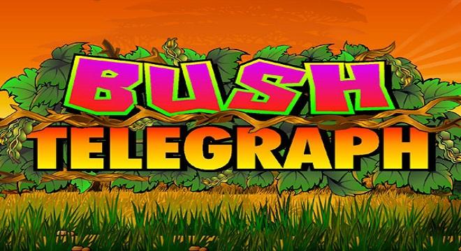 featured-image-73330