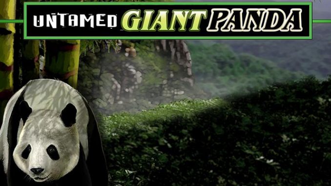 featured-image-80401