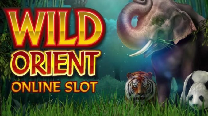 featured-image-80809