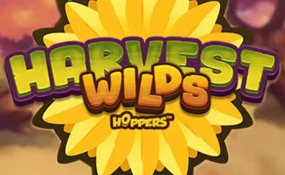 featured-image-85624