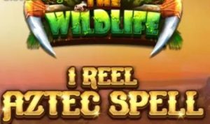 1 Reel - Aztec Spell